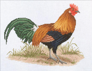 Jungle Fowl