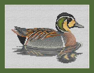 Baikal Teal