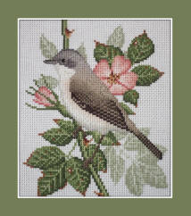 Lesser Whitethroat