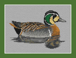 Baikal Teal