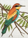 Bee-eater