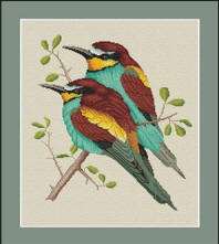 Bee-eater