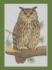 Eagle Owl