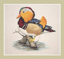 Mandarin