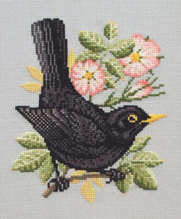クロスブラックバード Blackbird - Cross Stitch Birds