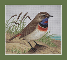 Bluethroat