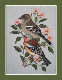 Chaffinch