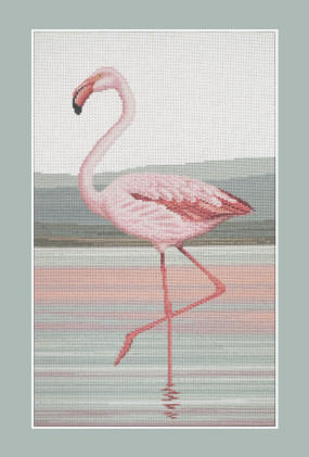 flamingo