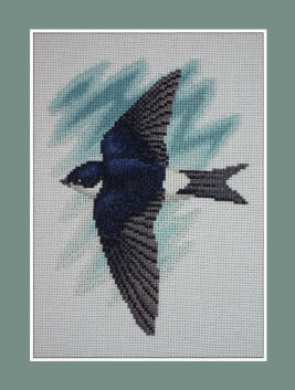 House Martin