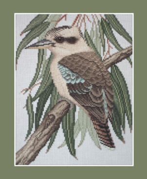 Kookaburra