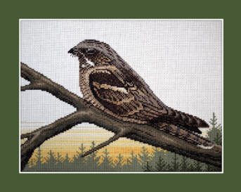 Nightjar