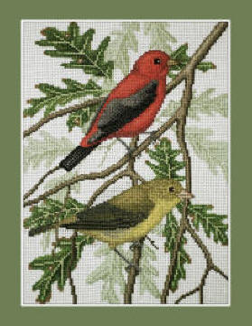 Scarlet Tanagers