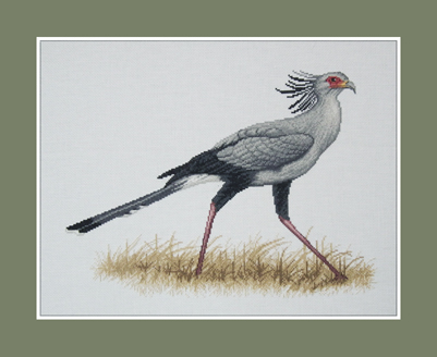 Secretary Bird