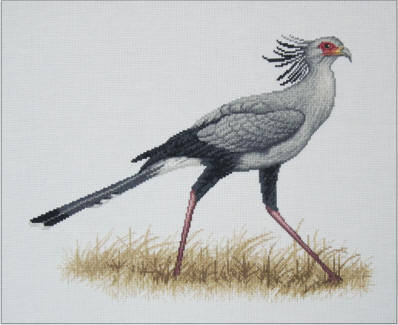 Secretary Bird