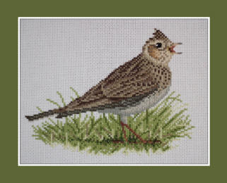 Skylark