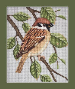 Tree Sparrow