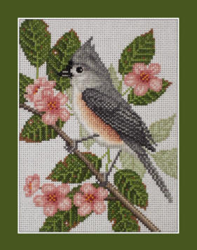 Tufted Titmouse