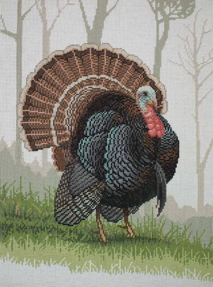 Wild Turkey
