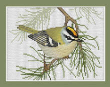 Firecrest