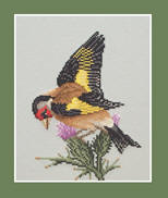 Goldfinch