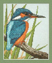 Kingfisher