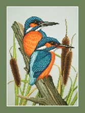 Kingfisher