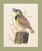 Meadowlark