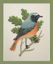 Redstart