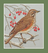 Redwing