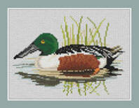 Shoveler