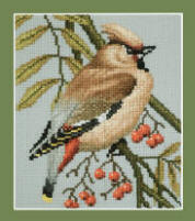 Waxwing