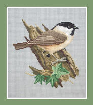 Willow Tit