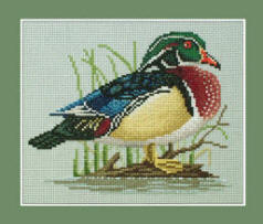 Wood Duck