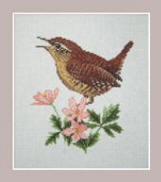 Wren